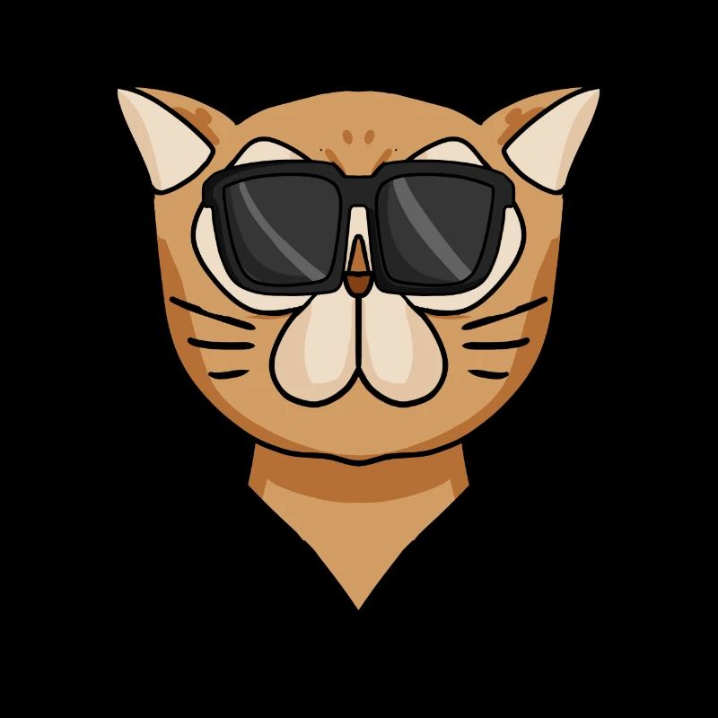 Coole Perserkatze Katzenrasse Katze