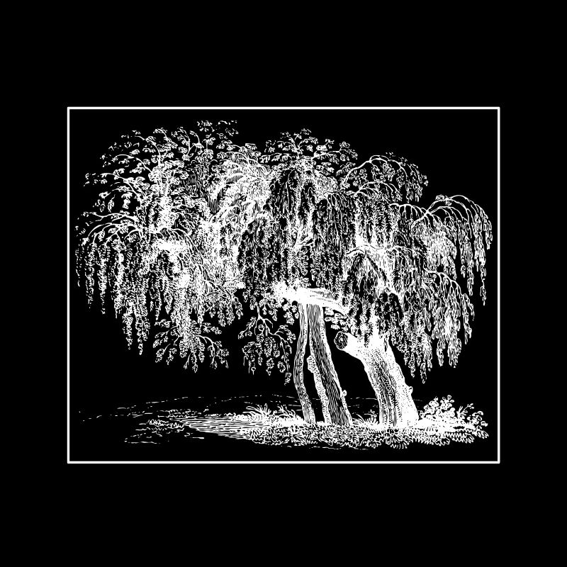 Arbre