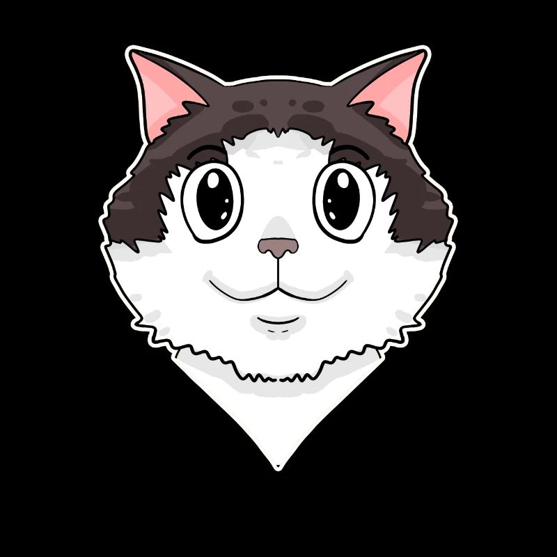 Ragdoll Cat
