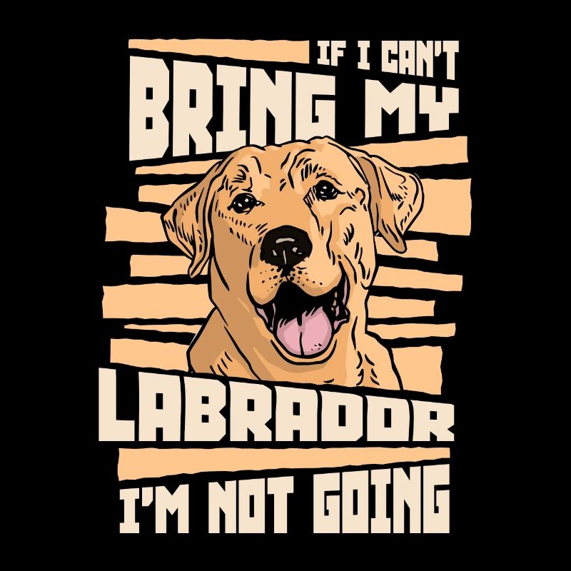 Labrador Hund