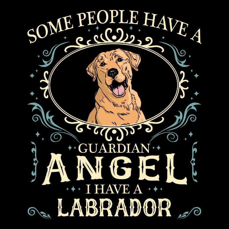 Labrador Dog
