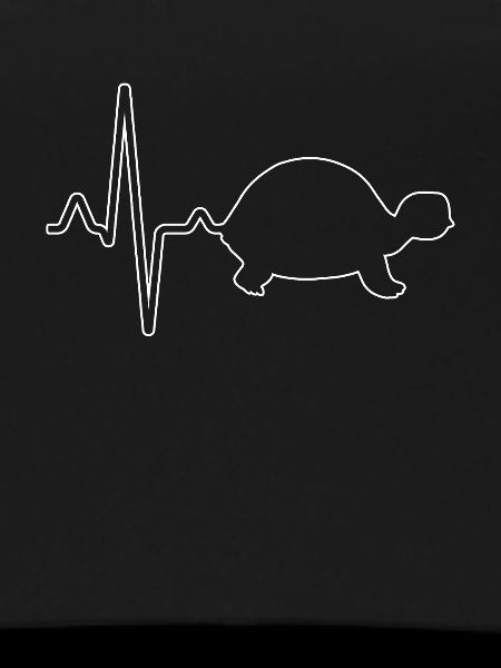 Turtle Heartbeat