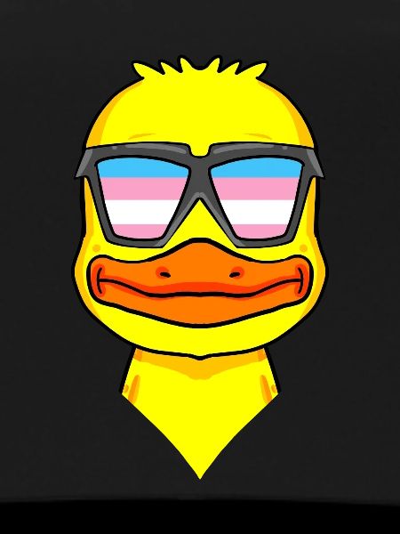 Transgender Transsexual Duck Gift