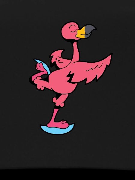 Flamingo skates - figure skating