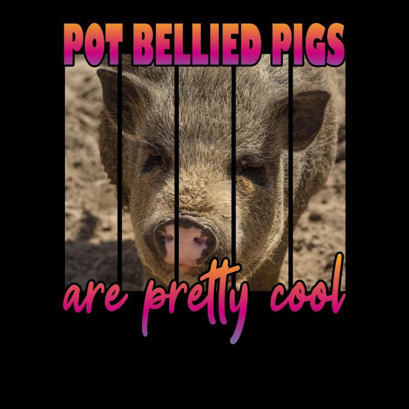 Les cochons à ventre de pot sont plutôt cool