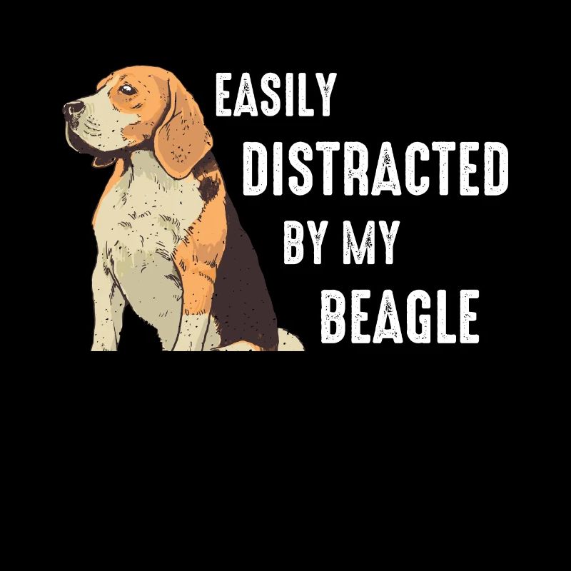Beagle Dog