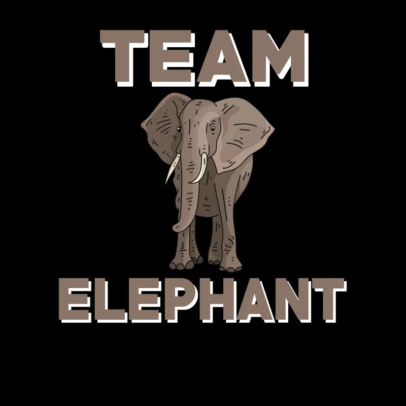 Équipe Elephant
