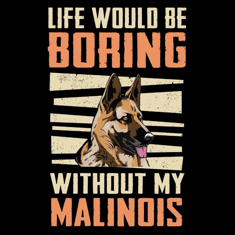 Malinois Dog