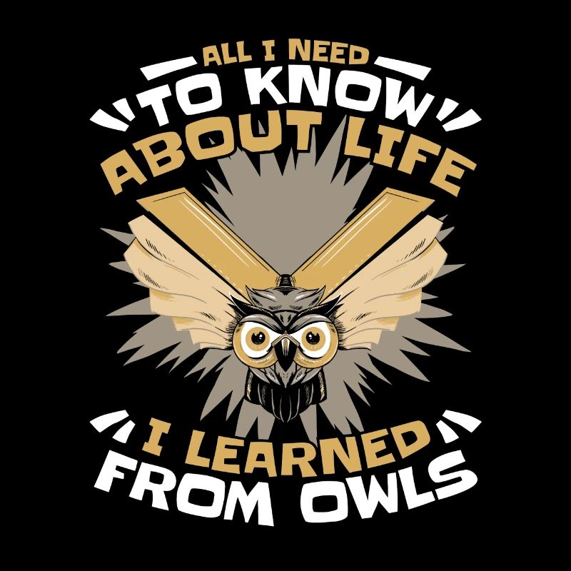 Eule Vogel Tier Eulen