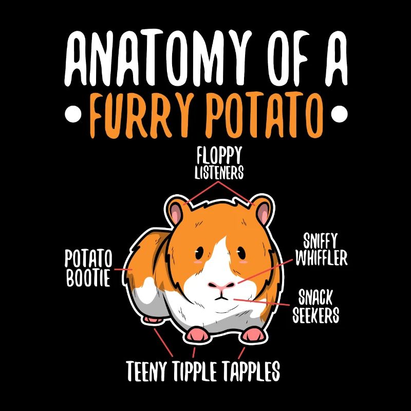 Anatomie d’une pomme de terre à fourrure