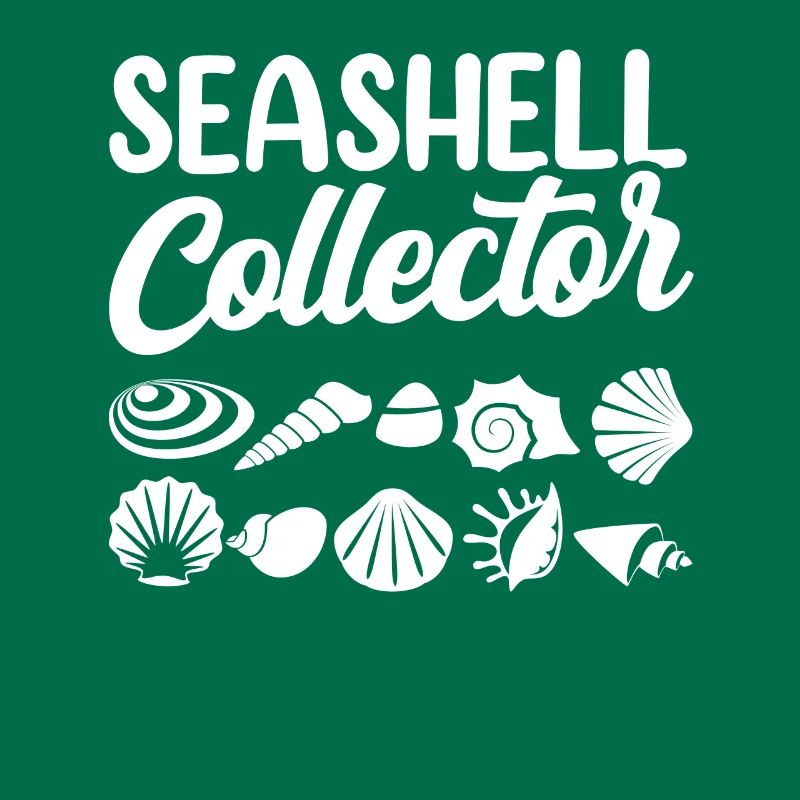 Shell Collector Shell Collector Shells Collecte