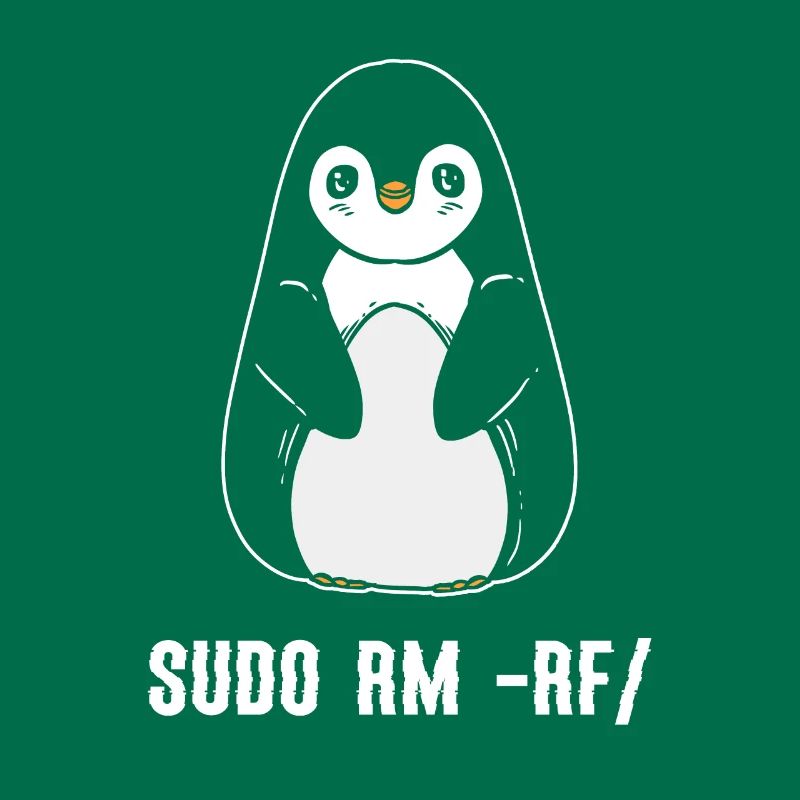 sudo rm rf / Linux Computer Programmer