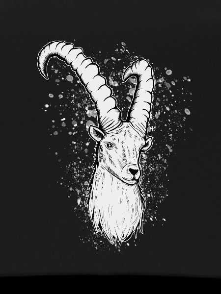 Steinbock Sternzeichen Geschenk