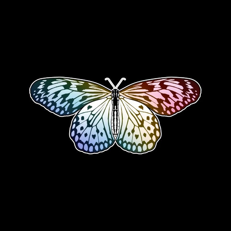 Butterfly Rainbow