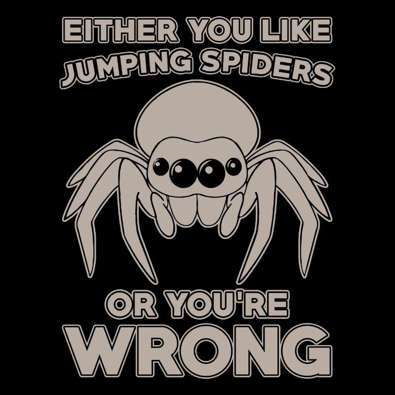 Springspinne Spruch