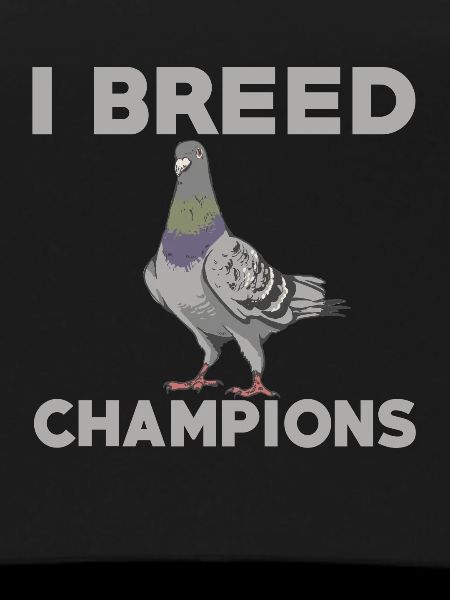 Pigeon breeder
