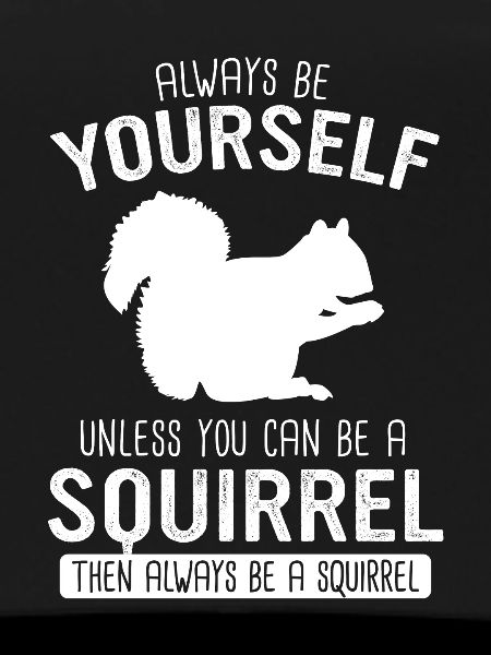 Squirrel Animal