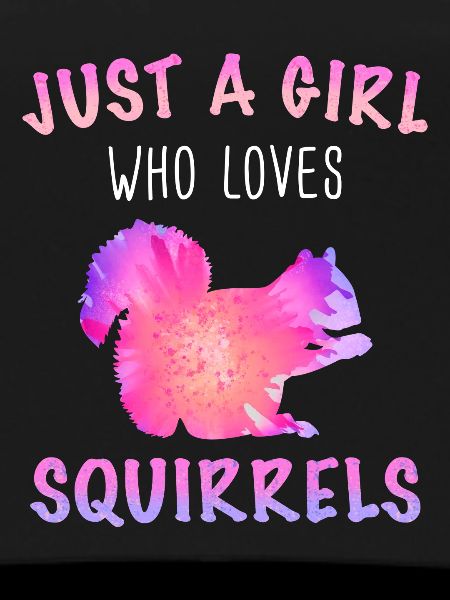 Squirrel Animal