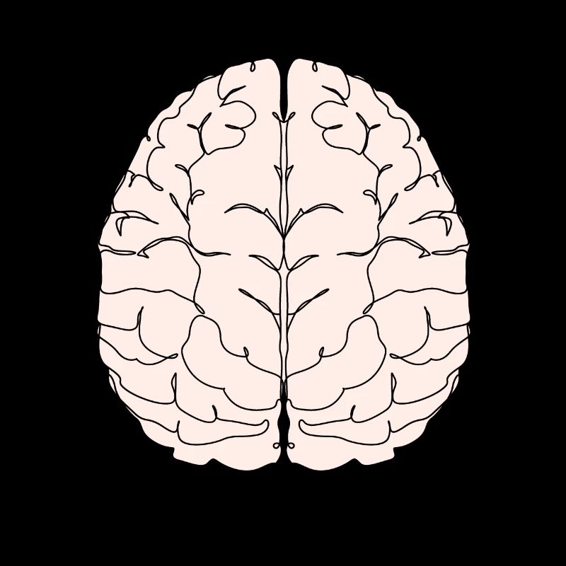 brain brain brain intelligence smart smart student university