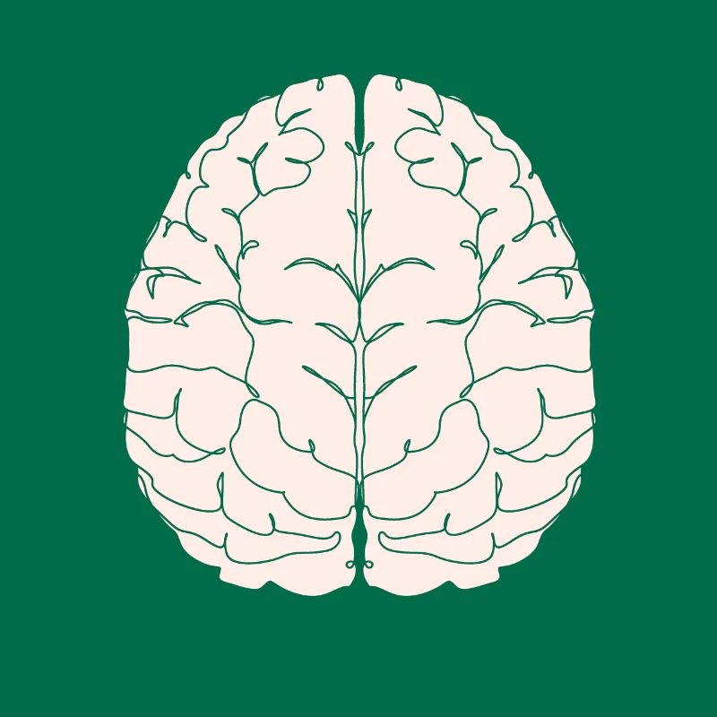 brain brain brain intelligence smart smart student university