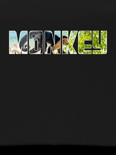 Singe