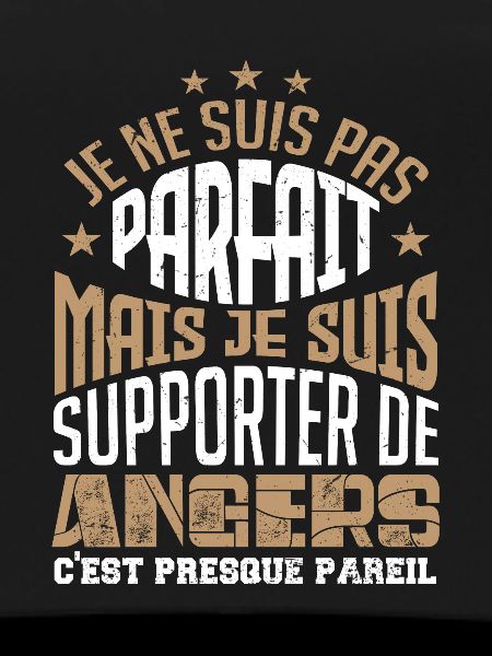 supporteur de Angers