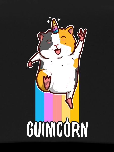 Guinicorn