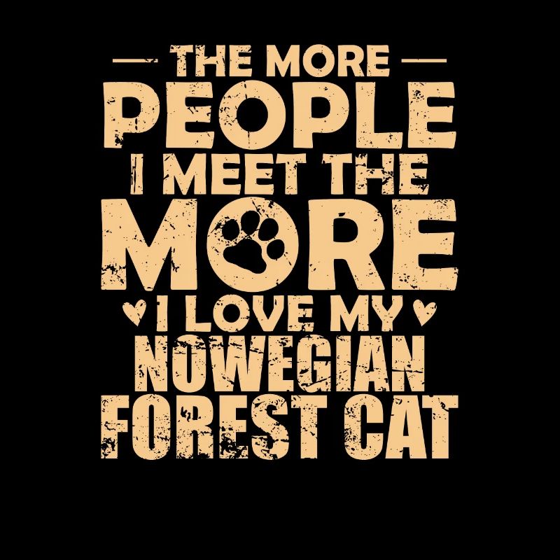Less People more Norwegian Forest Cat