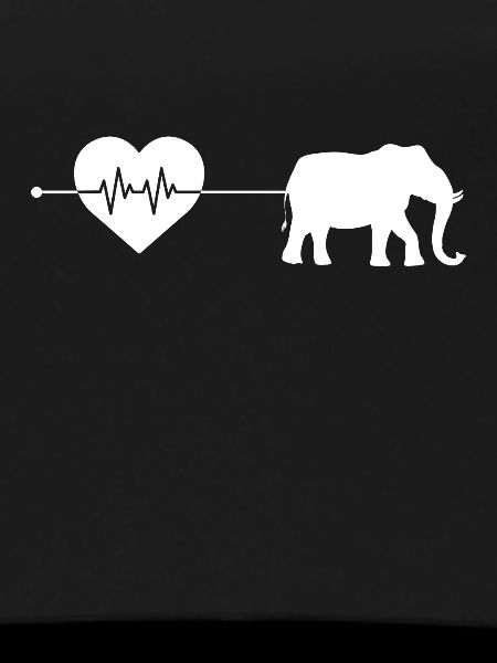 Elephant heartbeat