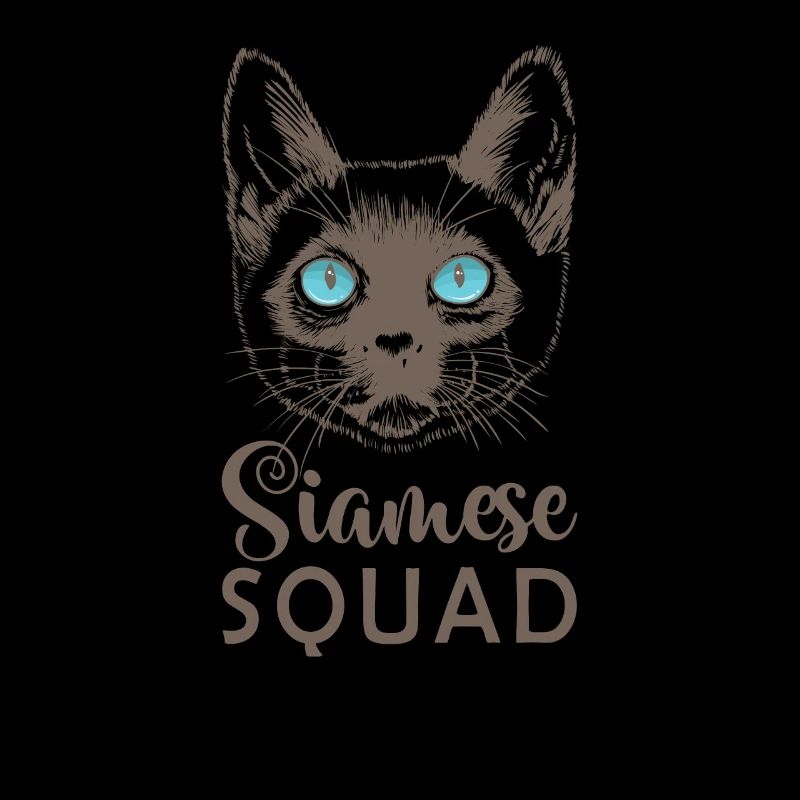 Escouade siamoise Race de chat de compagnie Mietze