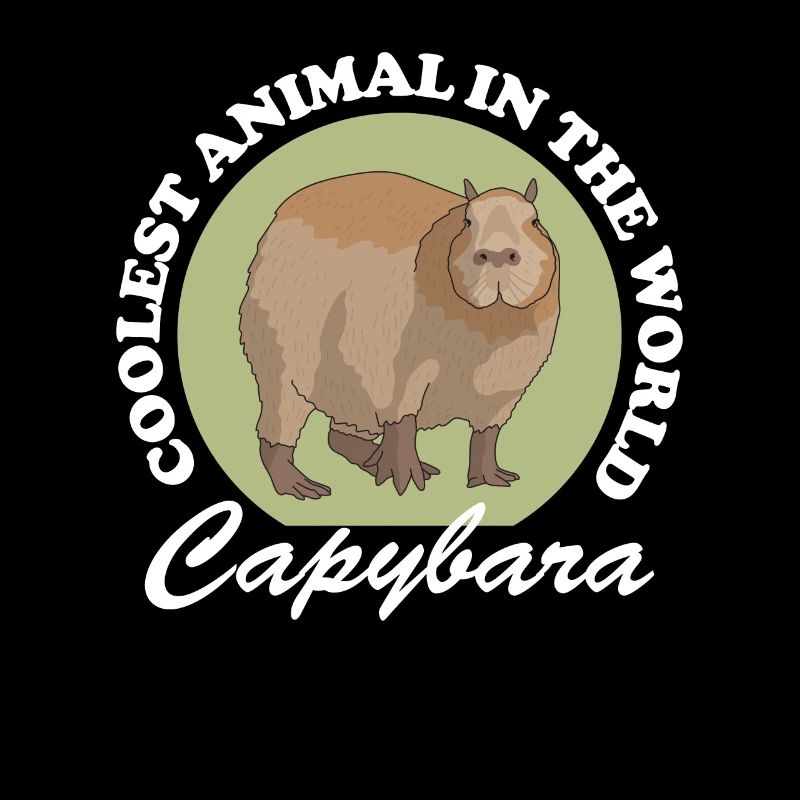 Capybara capybaras Capybaras gift