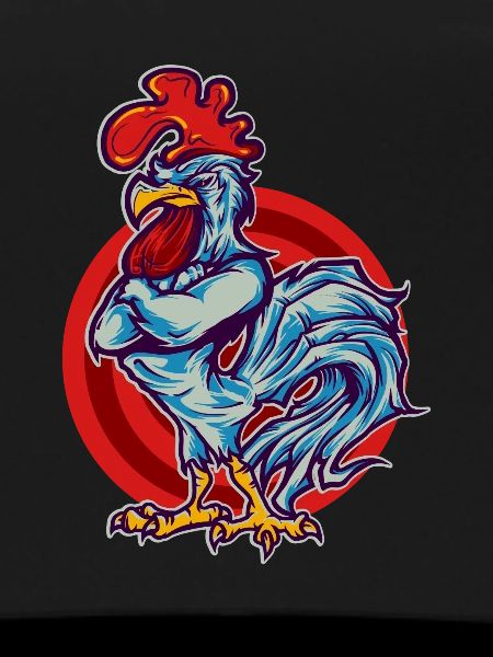 Rooster Hahn