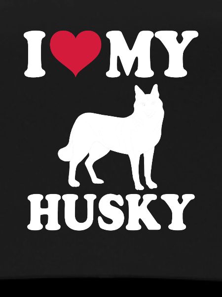 Husky Hund Dog Hundehalter