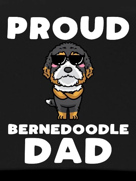 Bernedoodle Dog