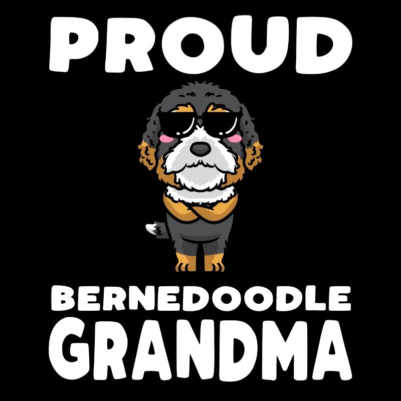 Bernedoodle Chien