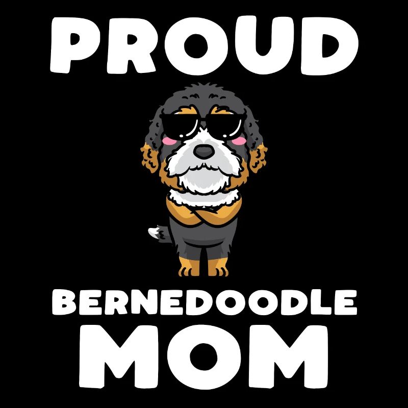 Bernedoodle Chien