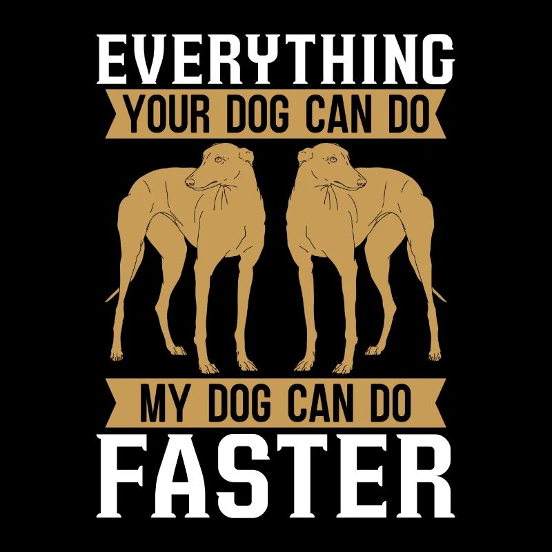 Greyhound Racing Everything Your Greyhound Racer