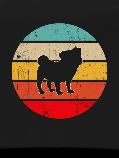 Pug Retro