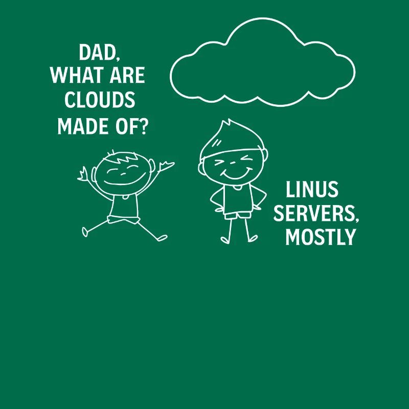 Programming Software Developer Computer Engineer