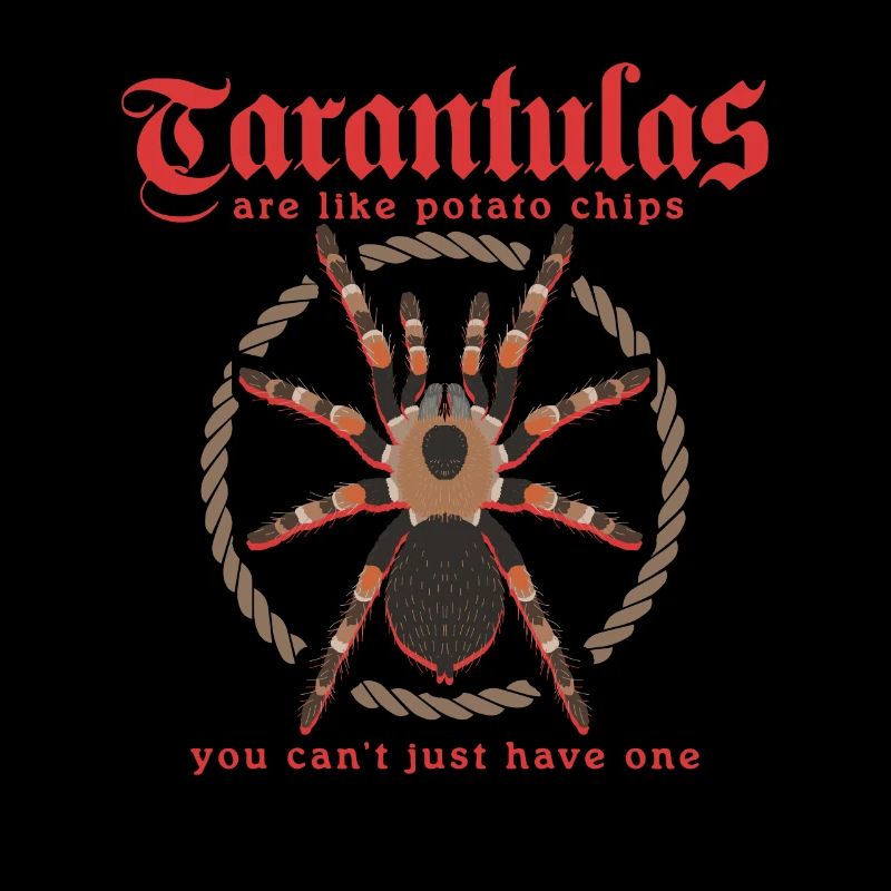 Tarantula Tarantula Tarantula Tarantula Gift