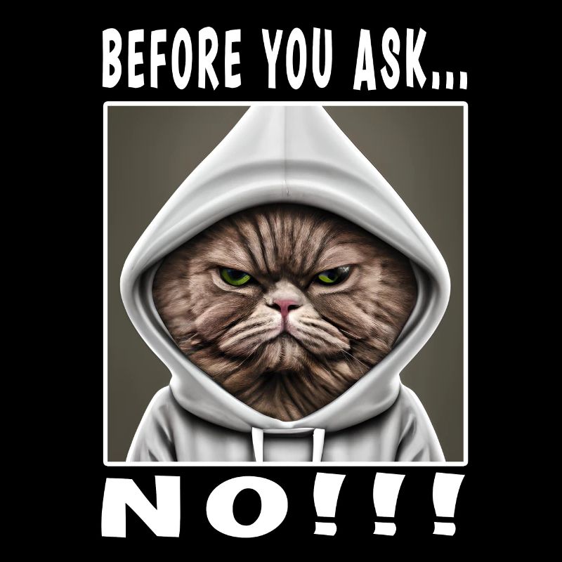 Before you ask no