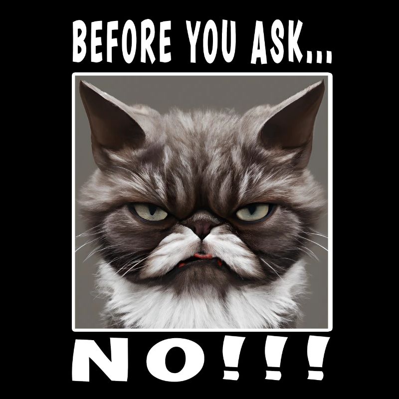Before you ask no