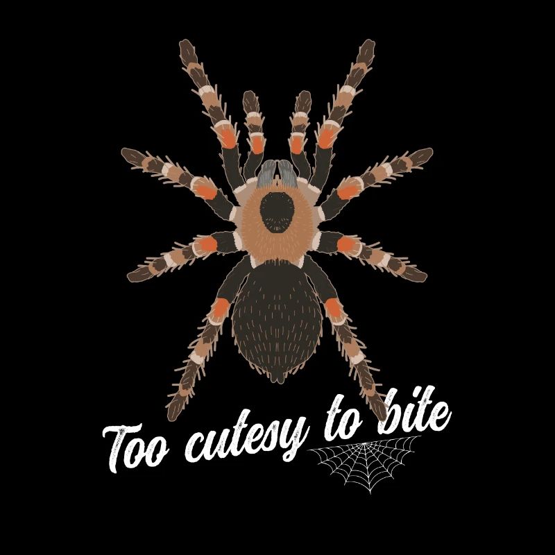 Tarentule Araignée Tarentule Tarentule Tarentule Cadeau