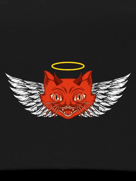 Angel and devil cat