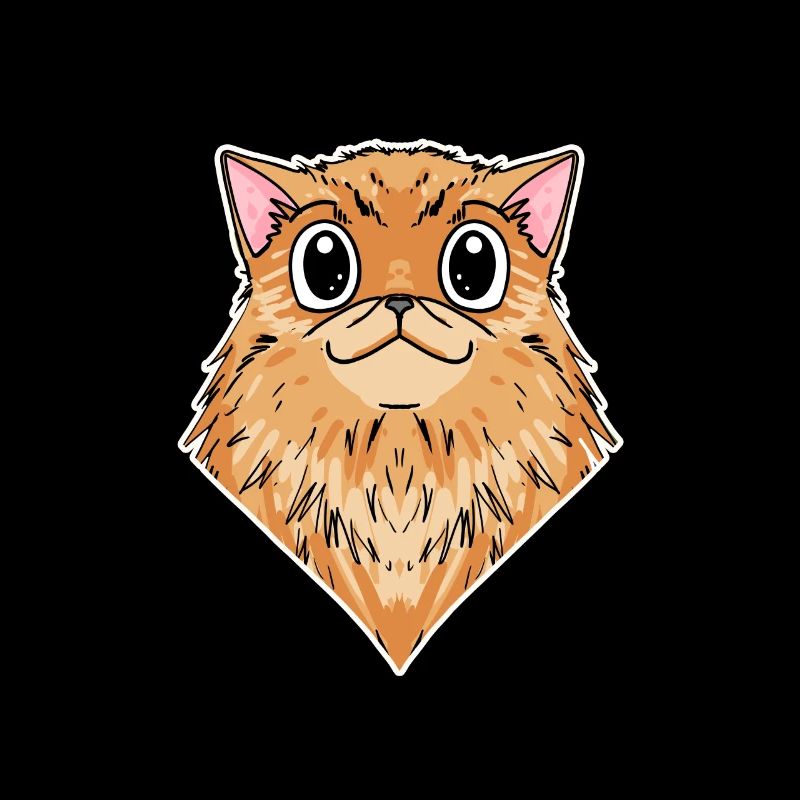 Chat persan Race de chat Chat