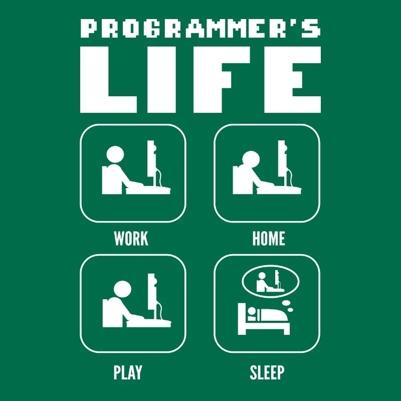 Programmers Life. Work Home Play Sleep Programming