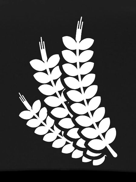 Wheat ear