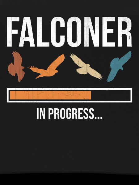 Falconer In Progress