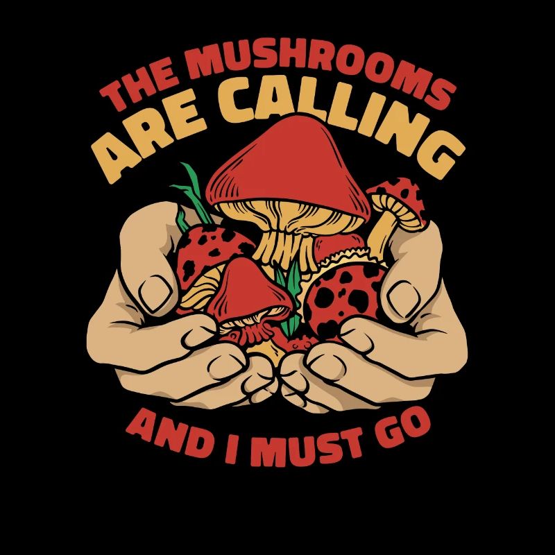 Champignons Champignons Champignon Champignon