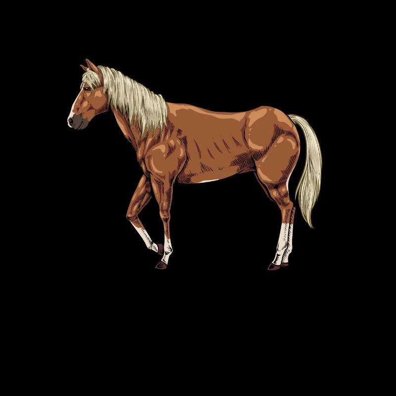 Dessin d’un Haflinger